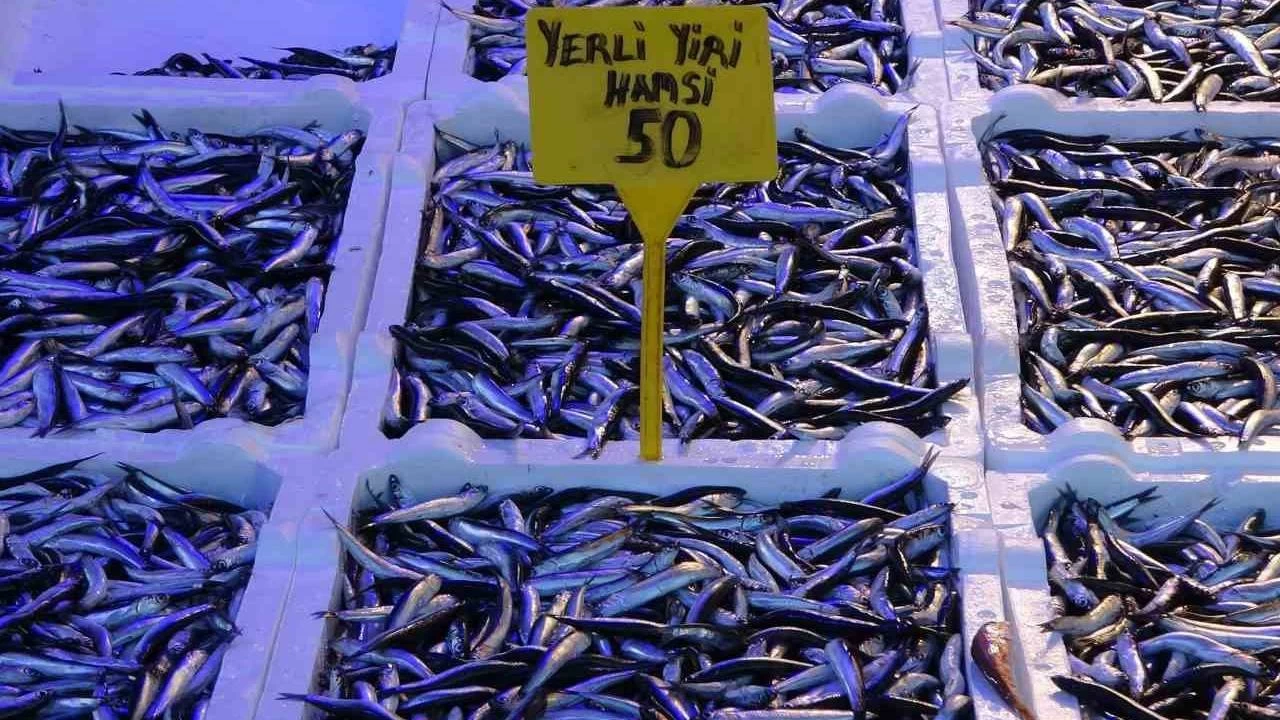 Hamsinin fiyat yeni ylda geriledi