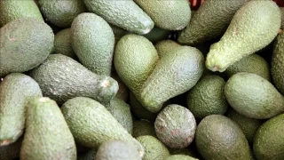 Hangi besin hangi organa iyi geliyor?