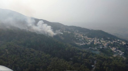 Hatay'da orman yangını