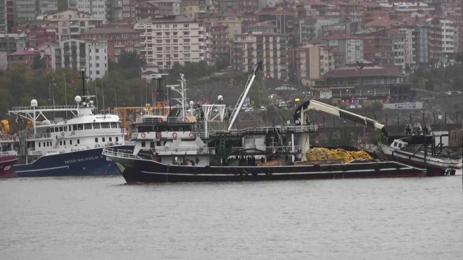 Hava scaklklar dt, yamur hayat olumsuz etkiledi