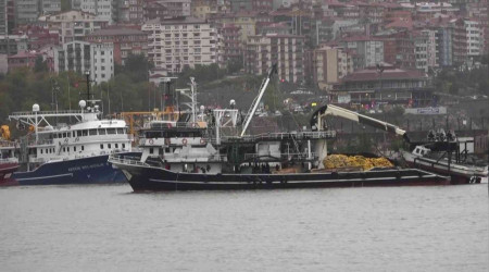 Hava scaklklar dt, yamur hayat olumsuz etkiledi