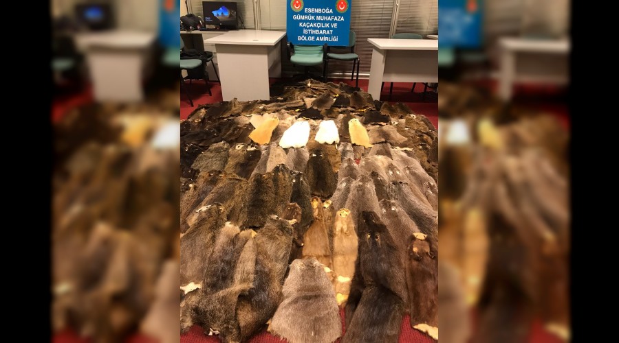 Havalimanında kunduz postu operasyonu