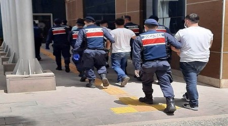 Hayvan hrszlar yakaland