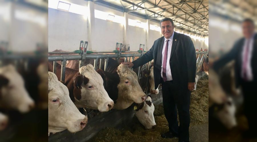 Hayvan yeminde zam yarışı yaşanıyor