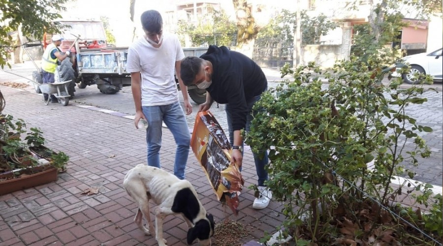 Hayvanları besleyen gençler takdir topladı