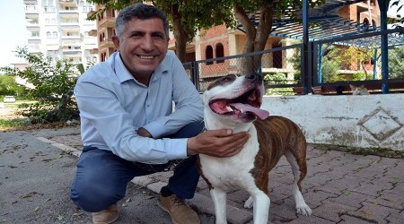 Hayvanseverler ' Hayvanları Koruma Kanunu'nda' revizyon istiyor