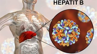 Hepatit B virüsü, dünya genelinde önemli bir sağlık sorunu