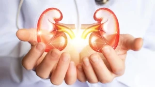 Her y�l b�brek hastal���ndan 11 milyon ki�i hayat�n� kaybediyor