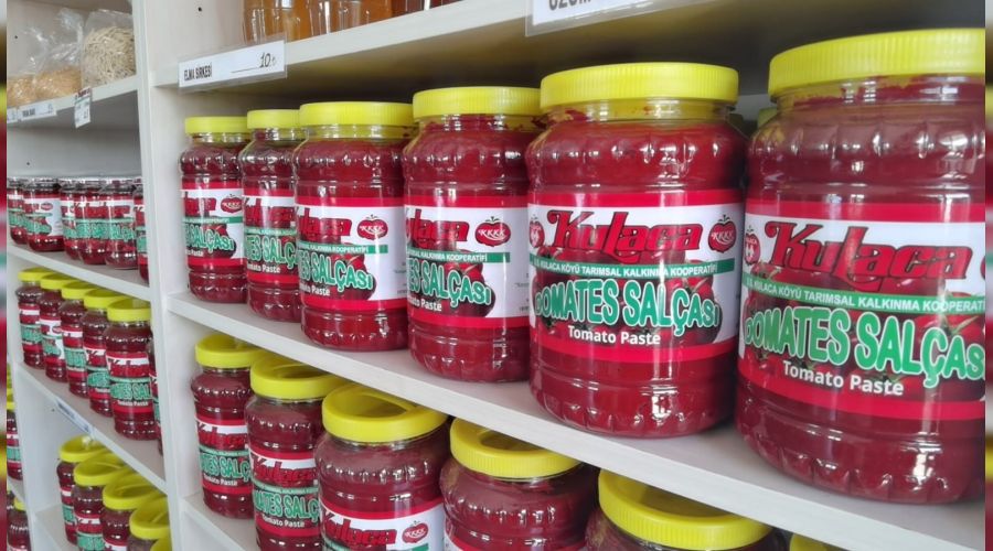 Hollanda'ya bin ton sal�a ihra� edilecek