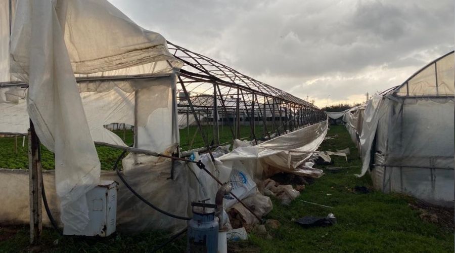 Hortum onlarca seraya zarar verdi