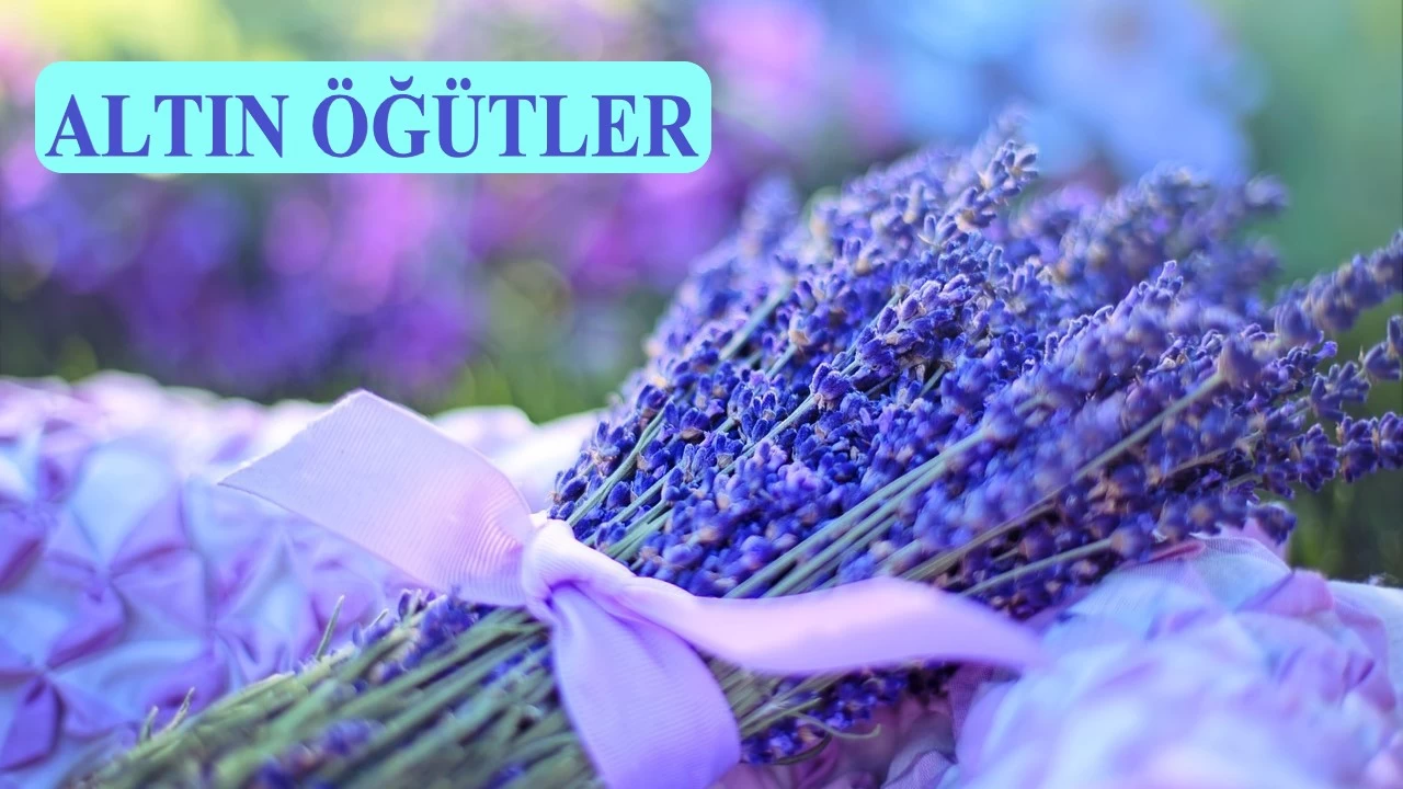 Huşûlu namaz günahları giderir