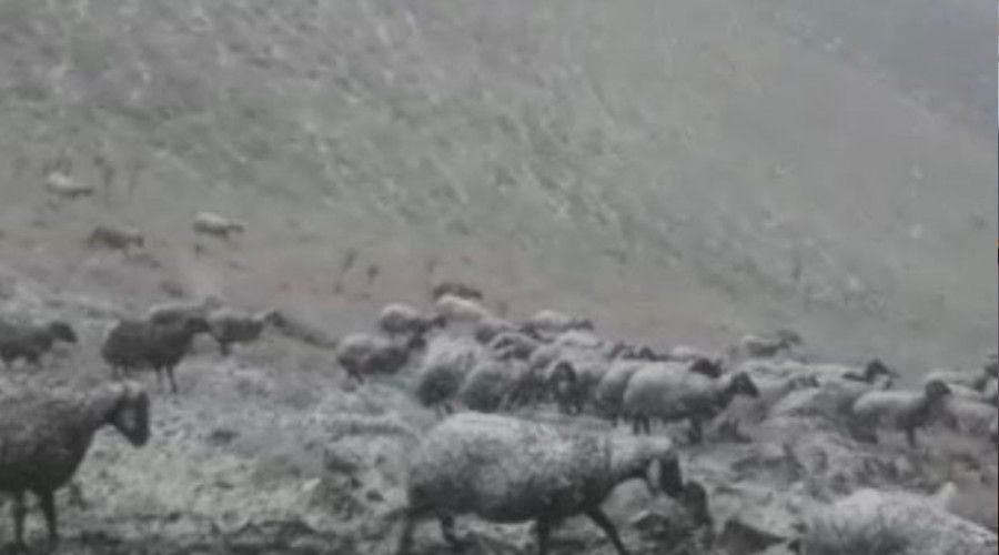 I�d�r'�n y�ksek kesimlerinde kar