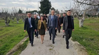 İncir Araştırma Enstitüsü