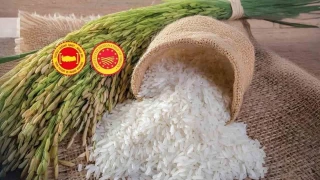 İpsala Pirinci ve Bursa Kestane Şekeri AB'de tescillendi