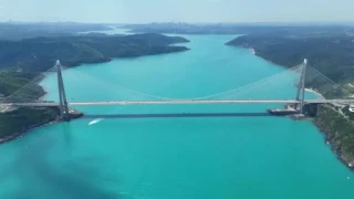 �stanbul bo�az�nda yunuslar ak�n etti