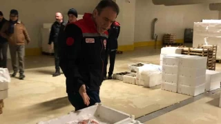 İstanbul'da 4 ton balığa el konuldu