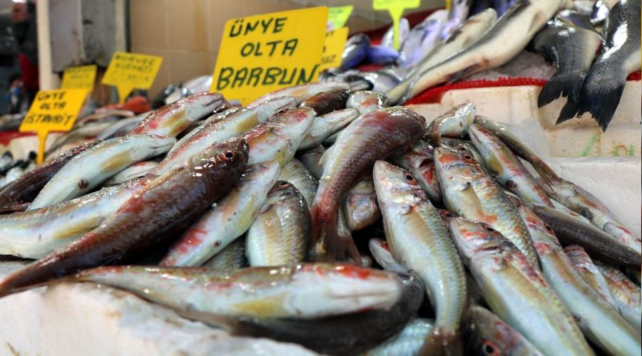 İstavrit, mezgit ve barbun tezgahlardaki yerini aldı