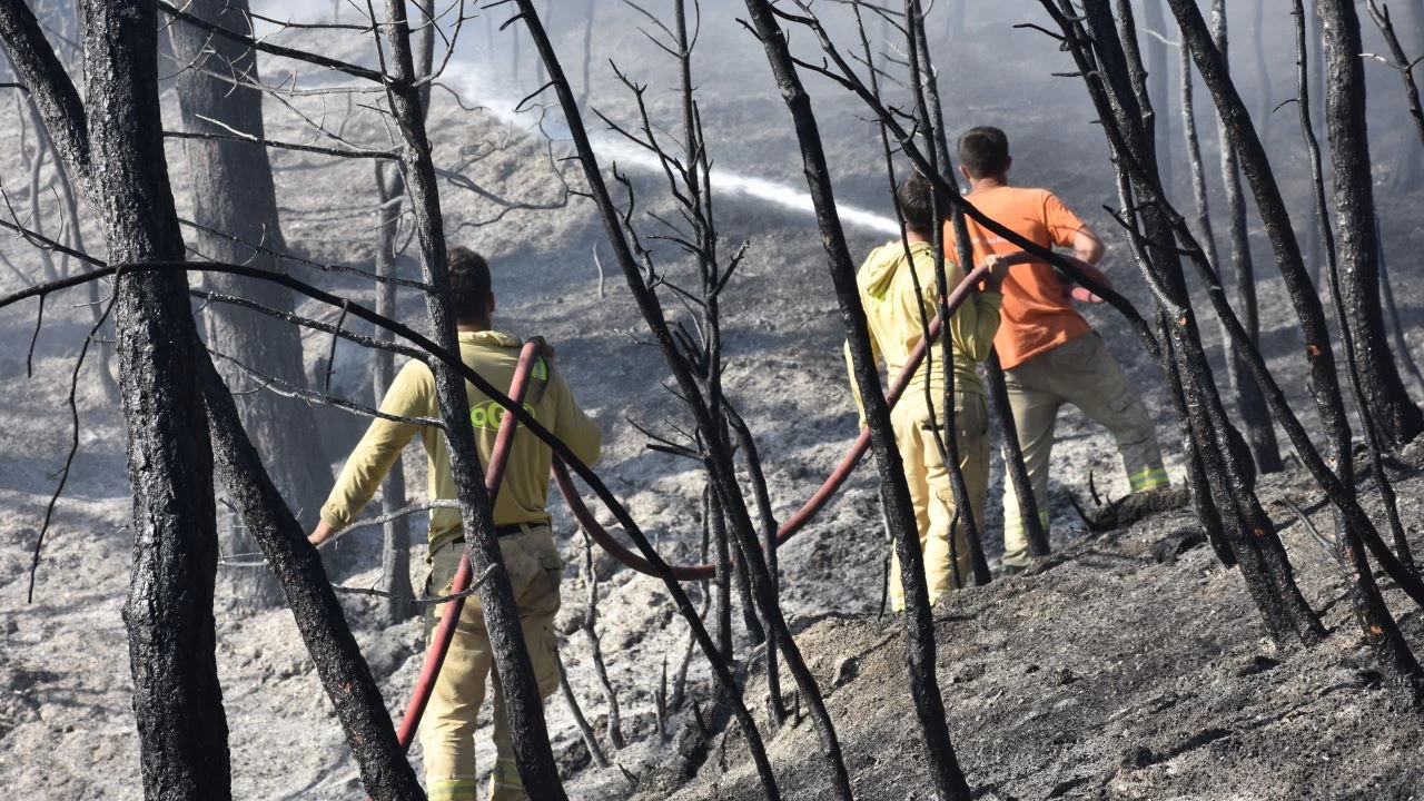 İzmir Kemalpaşa'da çıkan orman yangını söndürüldü