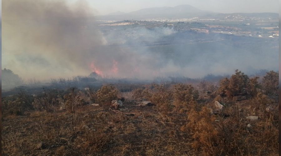 İzmir'de makilik yangını kontrol altına alındı