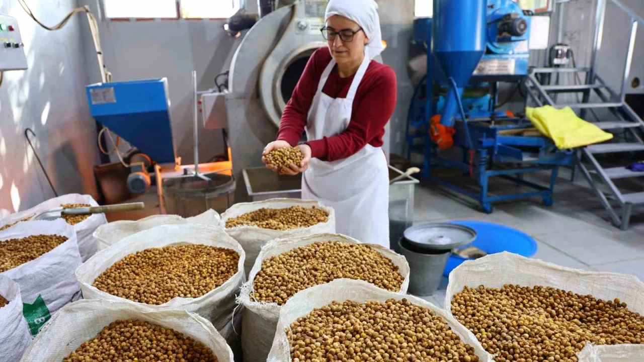 Kadın kooperatifinden büyük başarı