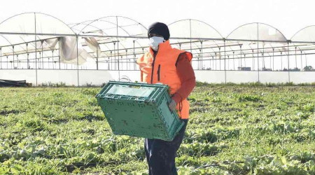 Kadınların ürettiği atom salatası market raflarında