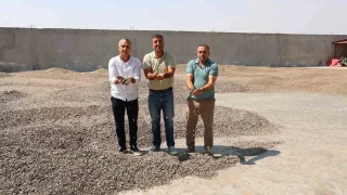 Kahramanmara�'ta ay �ekirde�i hasad�