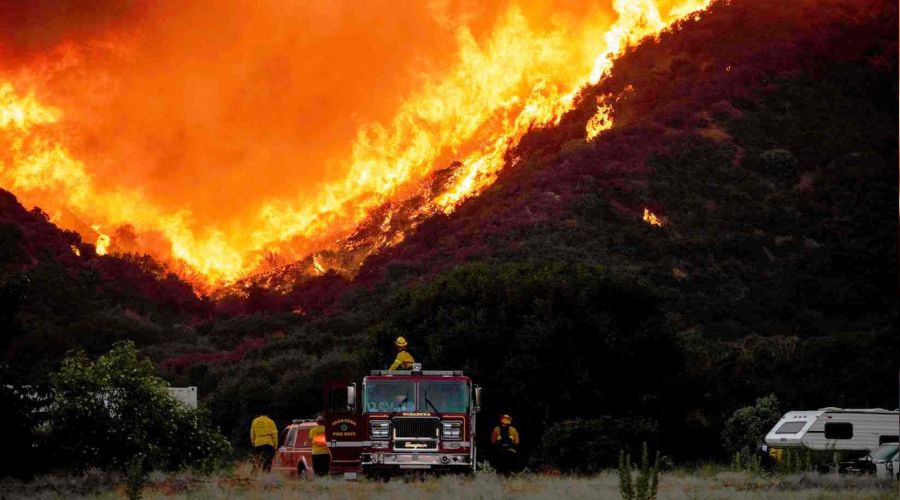 Kalifornia'da 210 bin hektar orman yand�