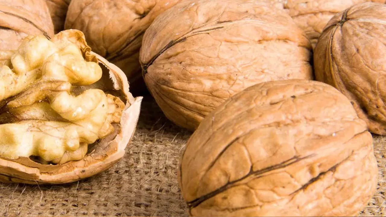 Kalp ve beyin sa�l���n�z i�in ceviz t�ketin