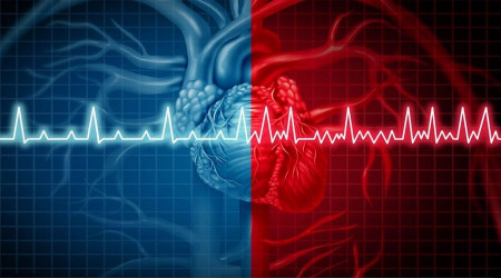 Kalpte ritim bozukluklarnn nedenleri artk grntlenebiliyor