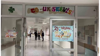 Kars'ta topladklar otlardan yiyen 8 ocuk zehirlendi