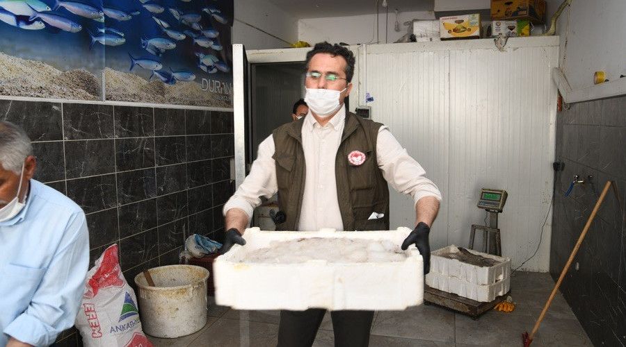 Kayseri'de kaçak sazan ve yayın balığı ele geçirildi