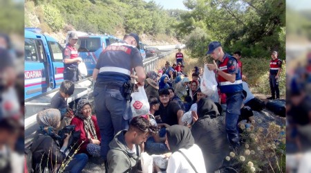 Kaza yapan organizatörler 48 bin dolarla kaçtı