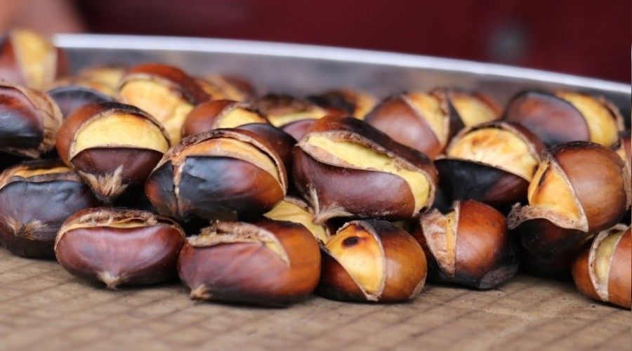 Kestane hem el hem cep yak�yor