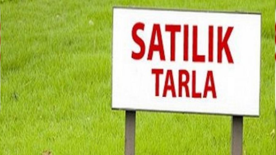 Kilis Musabeyli'de sat�l�k tarla
