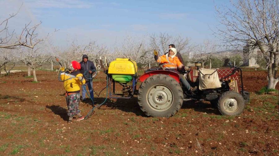 Kilis'te çiftçiler gece çadırda gündüz tarlada