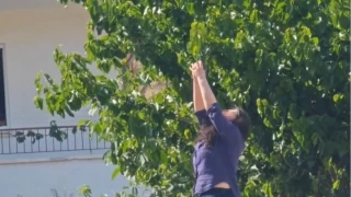 Kskanlk krizine giren kadn kork sat