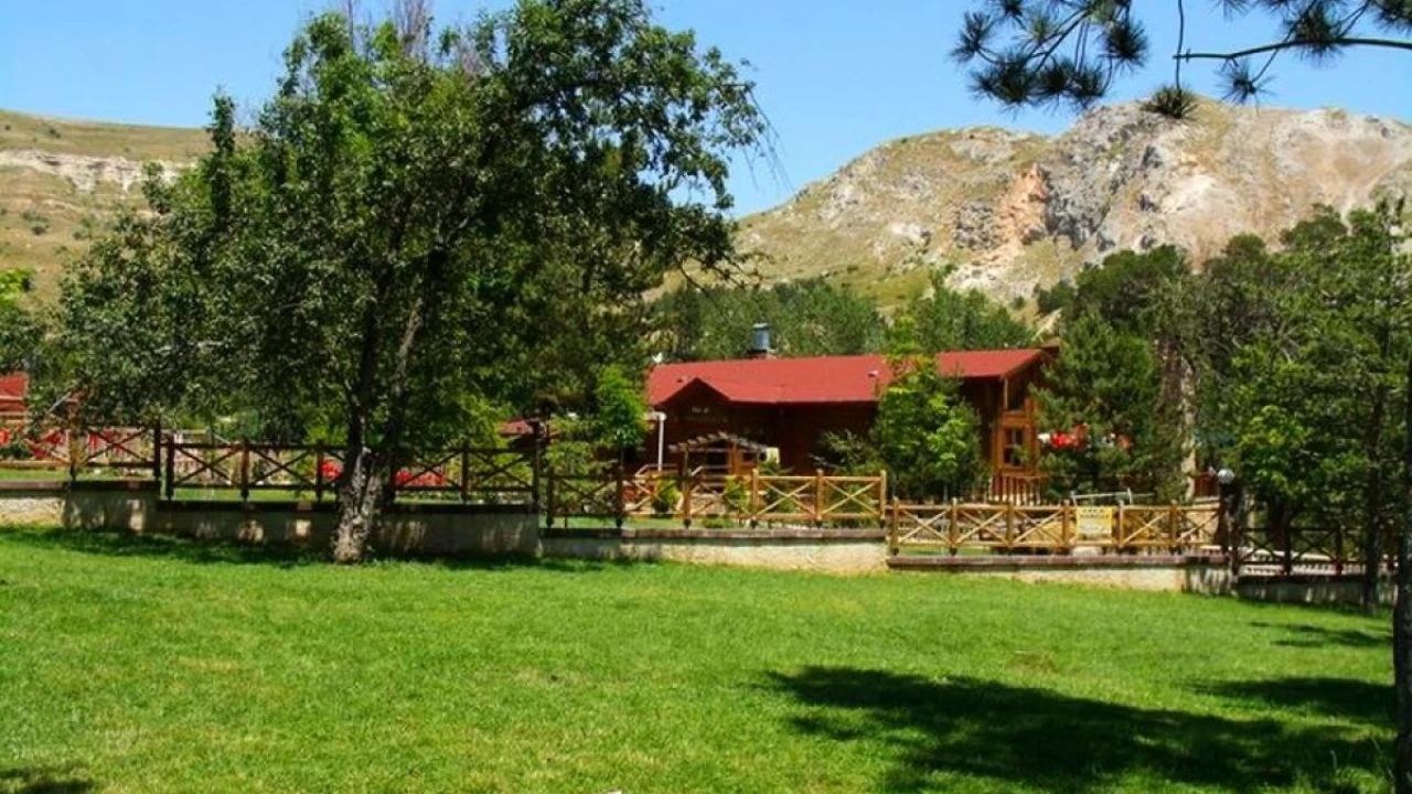 Koyunkaya Mesire Alanı: Ailece piknik için yemyeşil bir alan