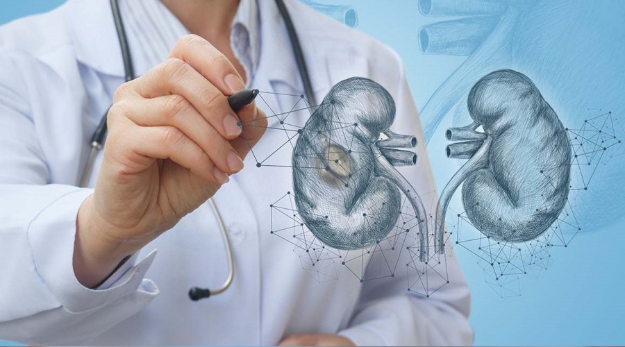 Kronik b�brek hastalar�na �neriler