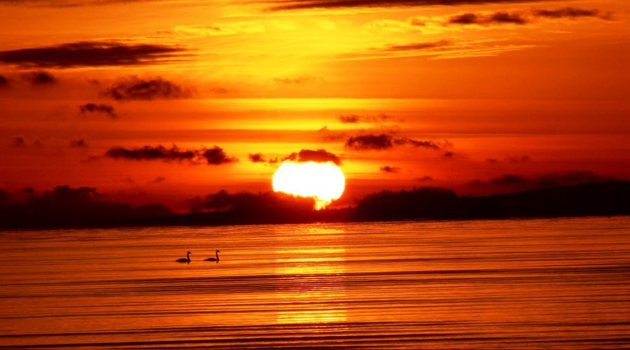 K���k g�nahlar� sak�n k���mseme!