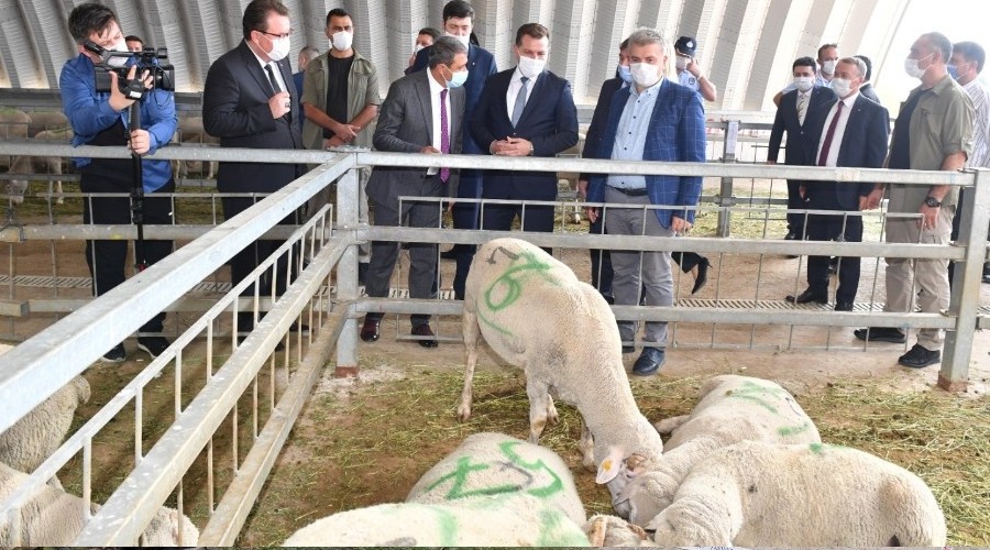 Küçük ölçekli üreticiye destek
