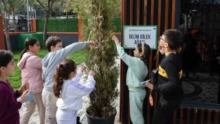 Kkekmece'de 'Benim Kartm' uygulamas kazandryor