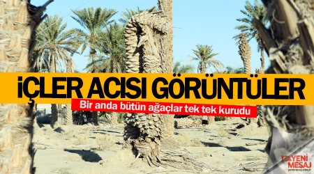 Kuraklık İran'ı sarsıyor