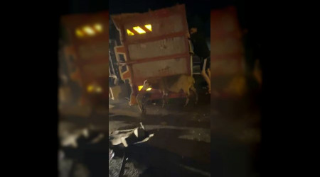Kurbanlıkları taşıyan kamyonet devrildi 15 hayvan telef oldu
