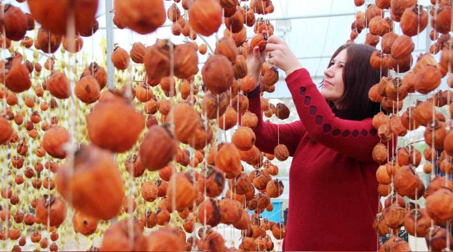 Kuruyunca fiyat� 20 misli art�yor