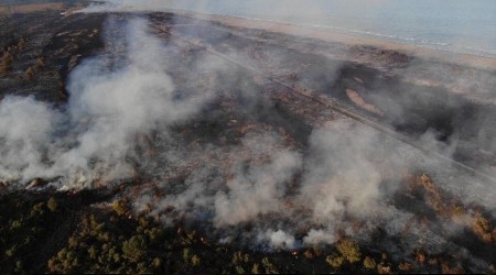 Kuş Cenneti'nde büyük risk