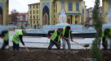Kütahya, kış bitkileriyle renklenecek