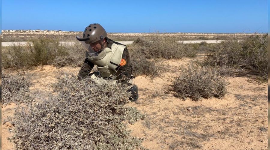 Libya ordusu Sirte-Misrata yolunu maynlardan temizliyor