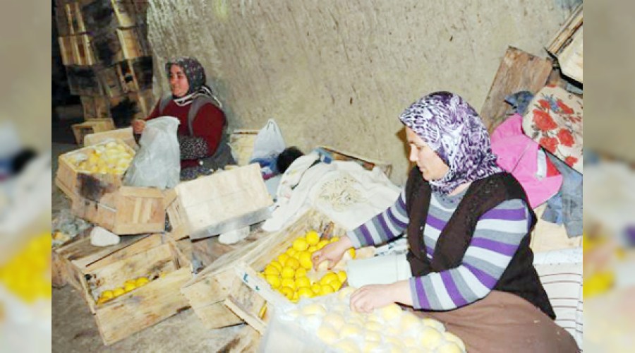 Limonda fire fiyatlar� y�kseltti