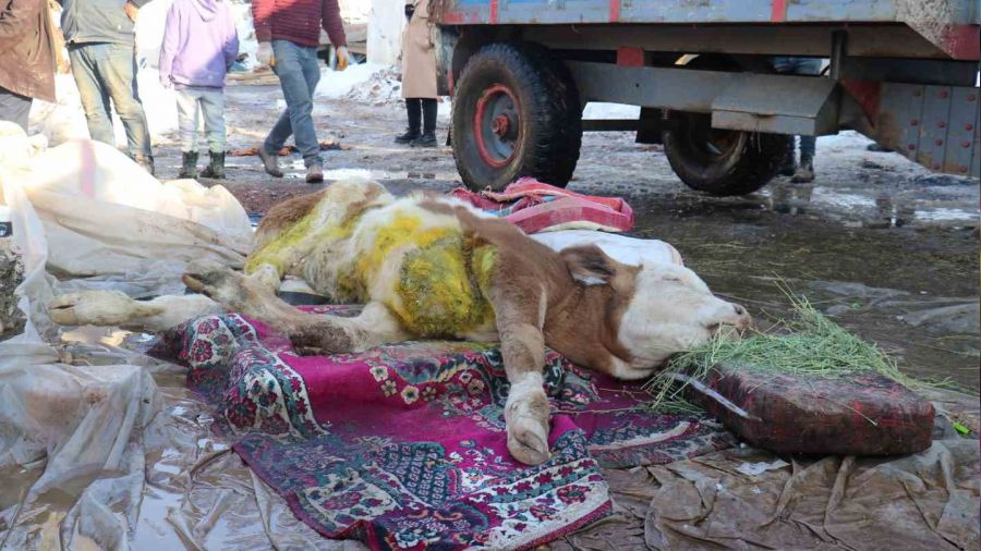 Malatya'da ld denilen buza enkaz altndan sa kurtarld
