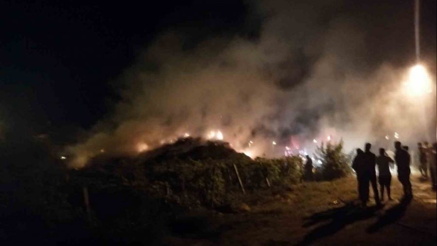 Manisa'da 15 bin balya saman kl oldu